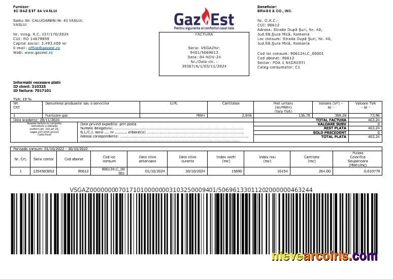 Romania Gaz Est business utility bill
